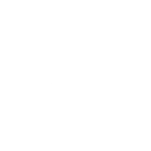 IMMORTEM LLC